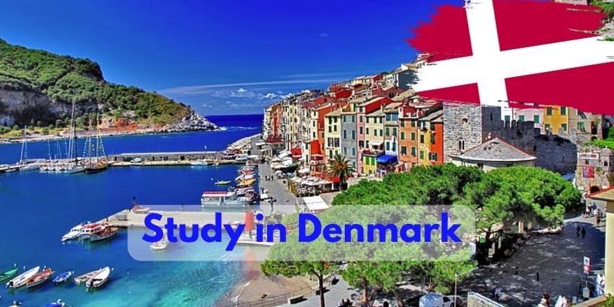 study-denmark-oval-immigration-study